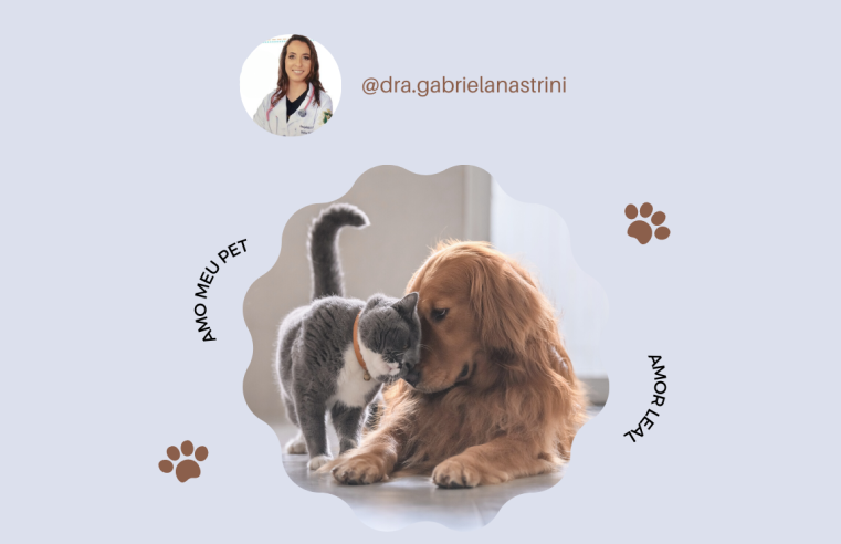 Já ouviu falar sobre Medicina Veterinária Preventiva?