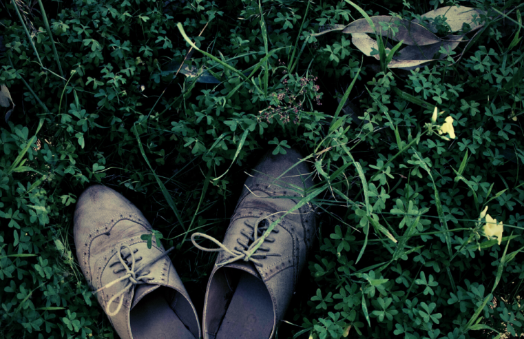 Devocional – Fiel
