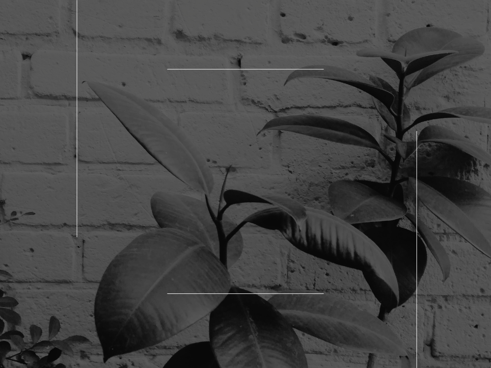 Devocional – Deus e deuses