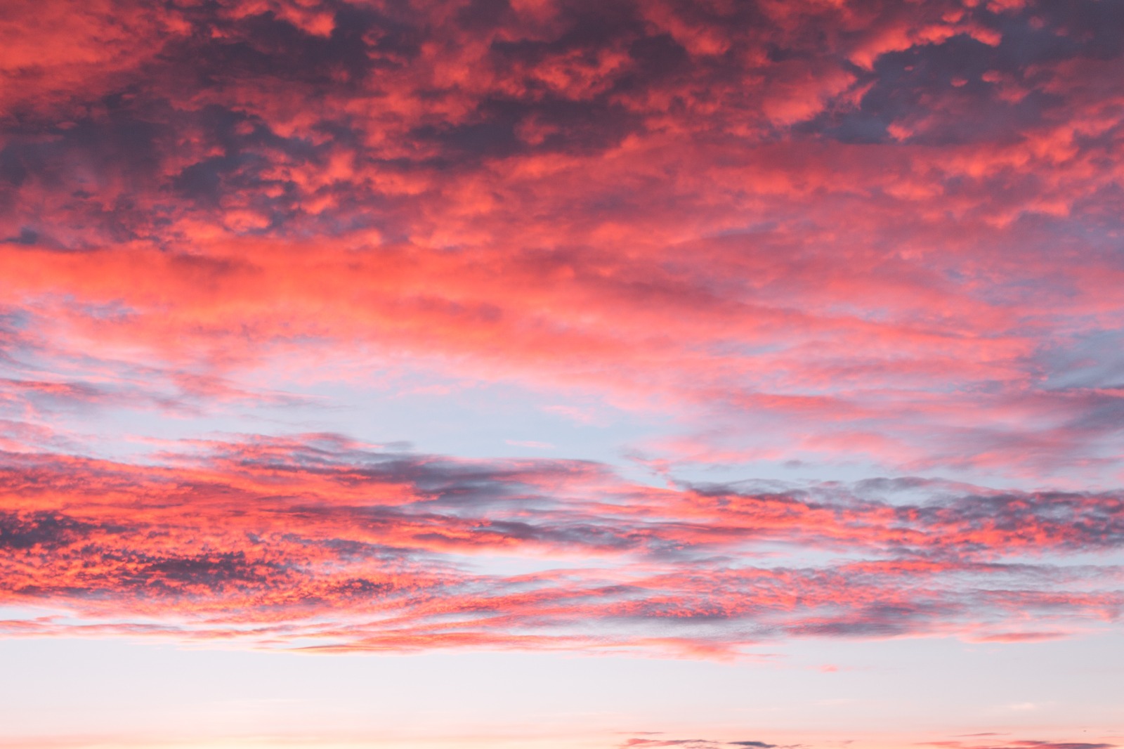 DEVOCIONAL – FINITUDE: Os dias do homem estão determinados por Deus