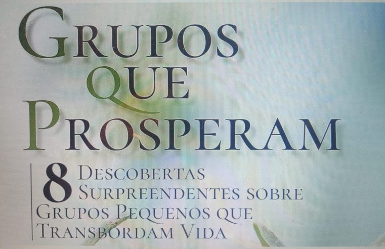 LIVRO: “Grupos que prosperam”, escrito por Joel Comiskey