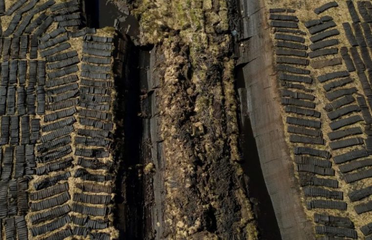 Alagado pelo progresso? O alerta sobre os cinturões úmidos do planeta